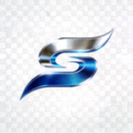 三亿(集团)体育科技有限公司官方Logo